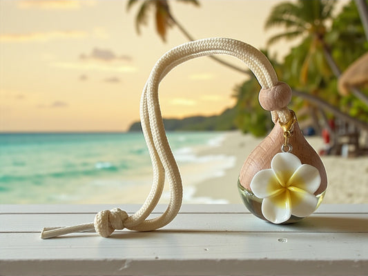 Diffuseurs de voiture