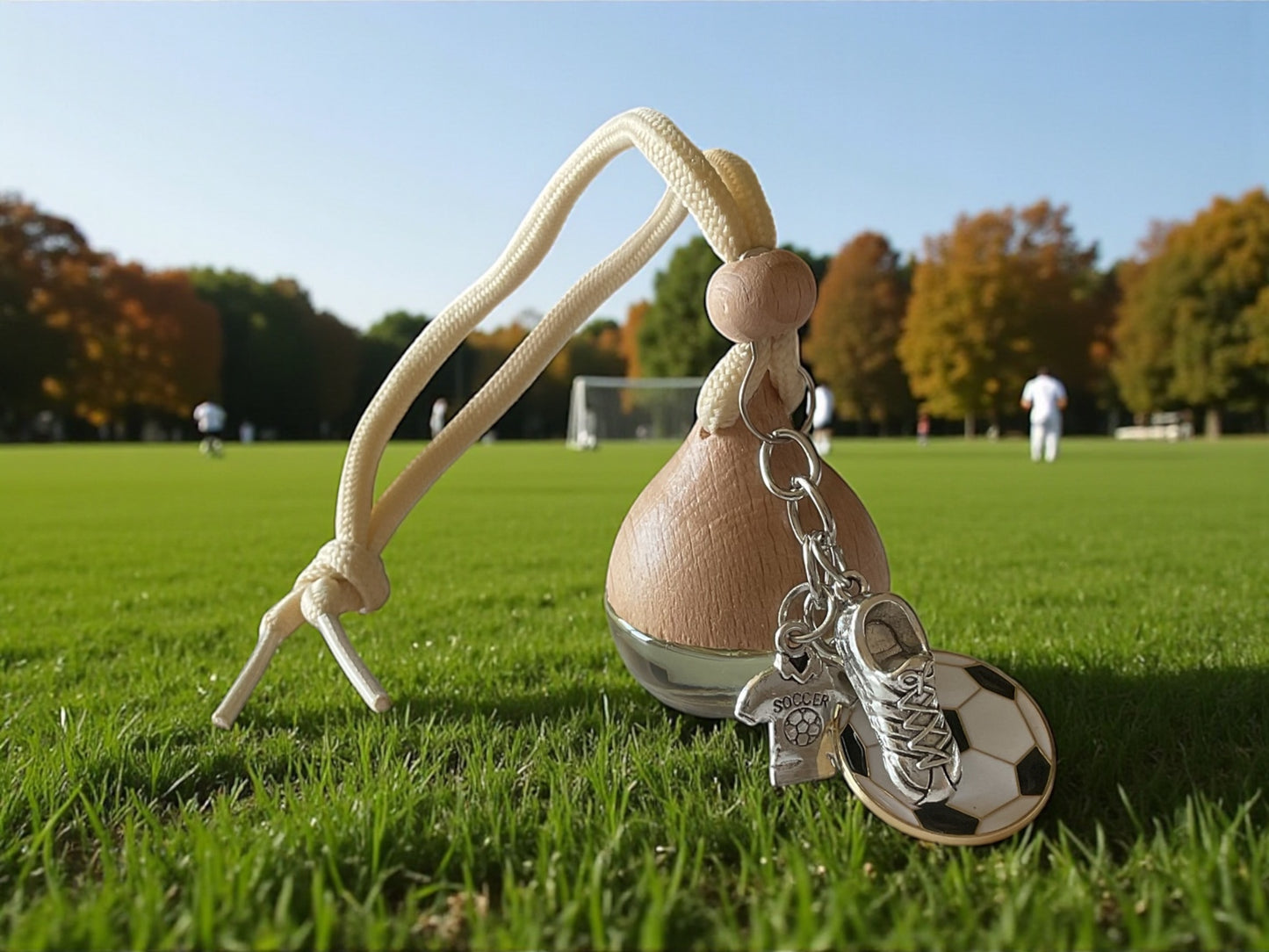 Diffuseurs de voiture